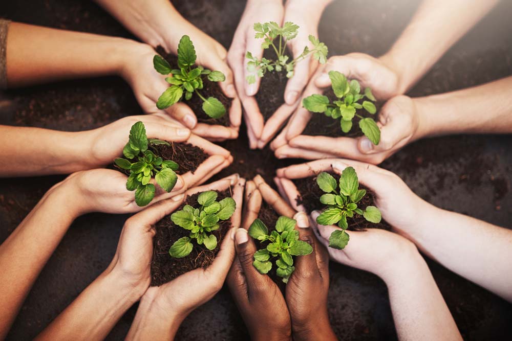 Människor som håller i växter i en cirkel