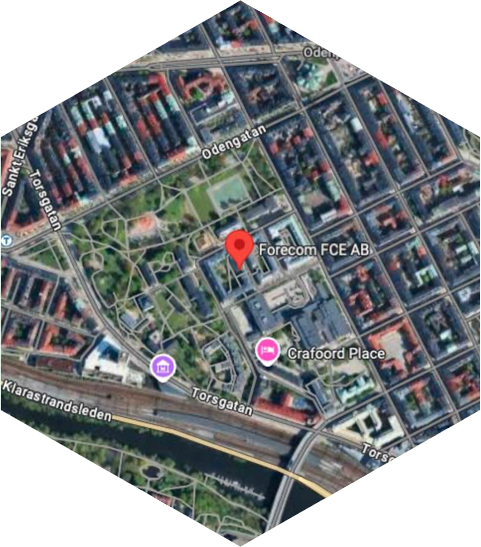 Printscreen från karta